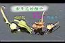 牽牛花-種子0.jpg