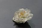 碧桃-白花19.jpg