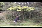 紅楠-花芽45.jpg
