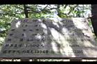 棲蘭神木園214.JPG