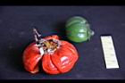 紅茄-青紅實5.jpg