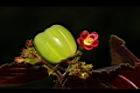 紅麻瘋樹-實05.JPG