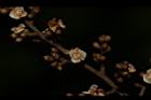 紫珠葉泡花樹-花14.JPG