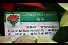 精華0.jpg