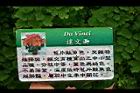 達文西0.jpg