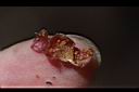 腰只花草-種子5.JPG