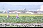 芋-採收00.JPG