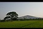 田野19.jpg