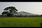 田野21.jpg