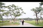 苦楝12.JPG