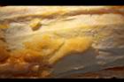 苦瓜-瓜皮03.jpg