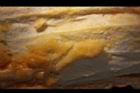 苦瓜-瓜皮04.jpg