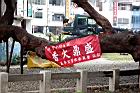 均安宮36.JPG