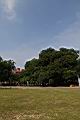 茄苳公園04.JPG