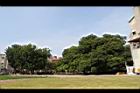 茄苳公園15.JPG