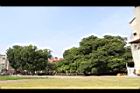 茄苳公園16.JPG