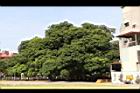 茄苳公園18.JPG