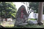 茄苳公園40.JPG