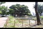 茄苳公園45.JPG