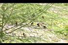 茄苳公園48.JPG