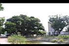茄苳公園51.JPG