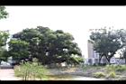 茄苳公園52.JPG