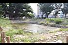 茄苳公園53.JPG