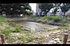 茄苳公園54.JPG