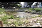 茄苳公園56.JPG