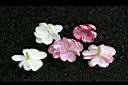 茉莉花-花12.jpg