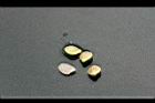 葎草-種子0.jpg