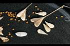 薺菜-種子12.jpg