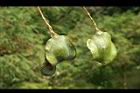藍花楹-青果0.jpg