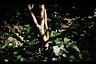 蘭嶼馬蹄花-莖1.JPG