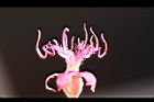 角莖野牡丹-花蕊18.jpg
