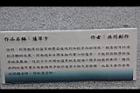 蓪草文化230.JPG