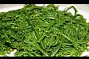 過溝菜蕨-菜5.jpg