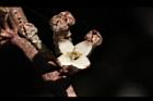 鄧氏胡頹子-花04.jpg
