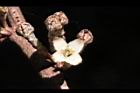 鄧氏胡頹子-花07.jpg