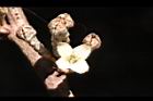 鄧氏胡頹子-花12.jpg