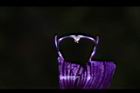 釘地蜈蚣-花蕊04.JPG