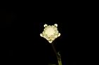 銀膠菊-花59.JPG