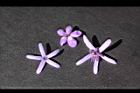 錫葉藤-花60.JPG