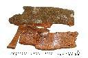 錫蘭肉桂-皮04.JPG
