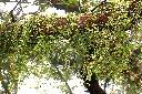 風不動00.JPG