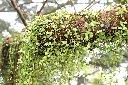 風不動12.JPG