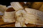 香蕉-熟果04.jpg
