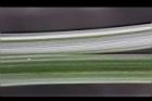香附子-葉面08.JPG