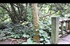 馬皎兒05.JPG