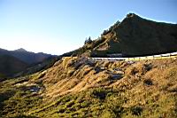 高山芒63.jpg